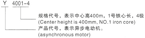 西安泰富西玛Y系列(H355-1000)高压高坪三相异步电机型号说明